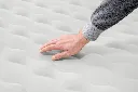 69050 4 .webp