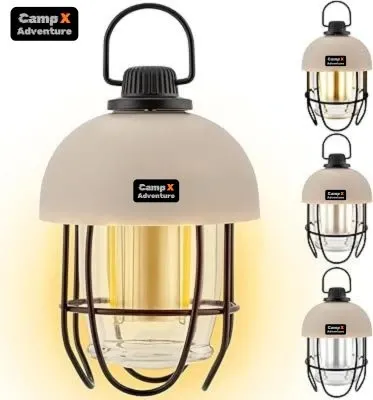 Camp X Adventure (14).webp