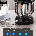 Camp X Adventure (17).webp